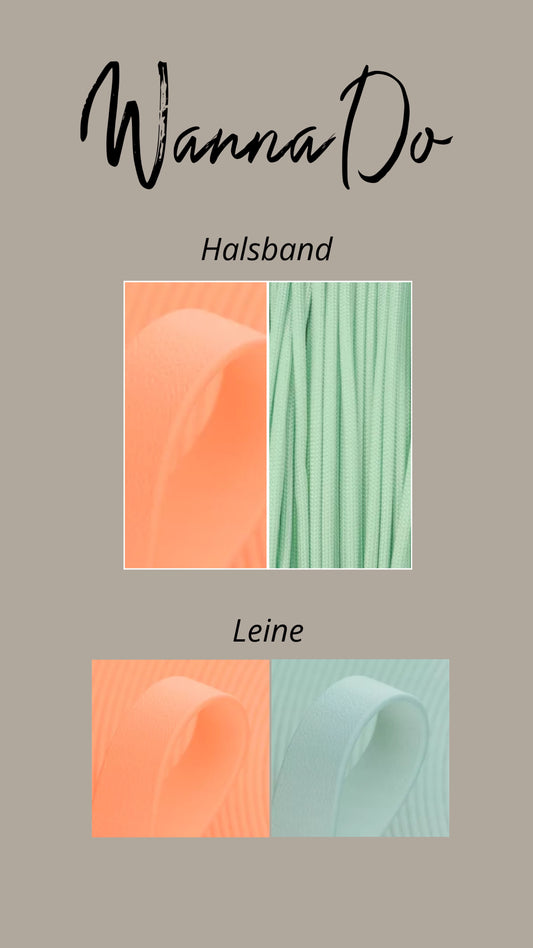 Set “Peach Ice”