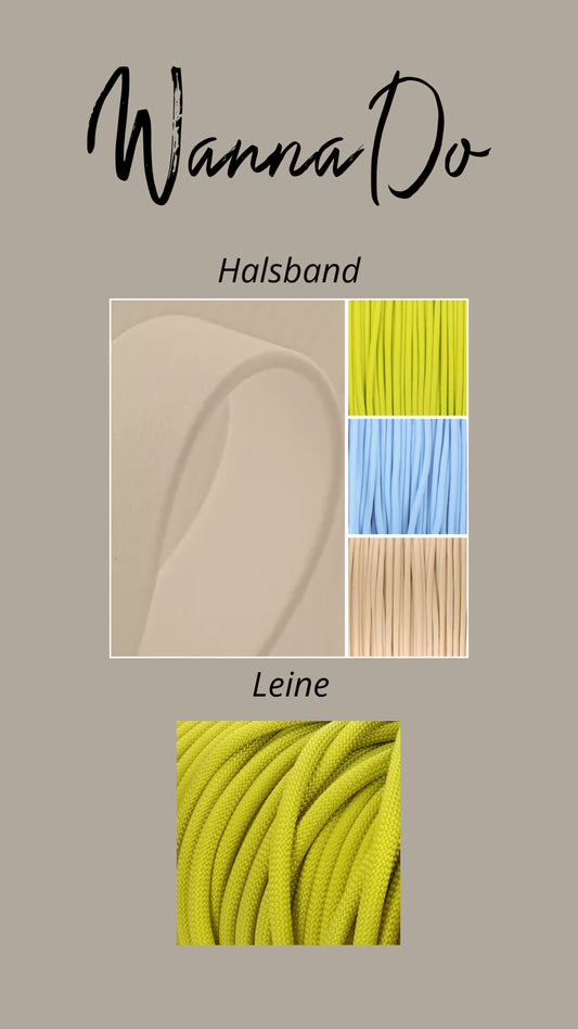 Set „Blue Lime“